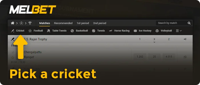 Choose cricket in the MelBet sports section
